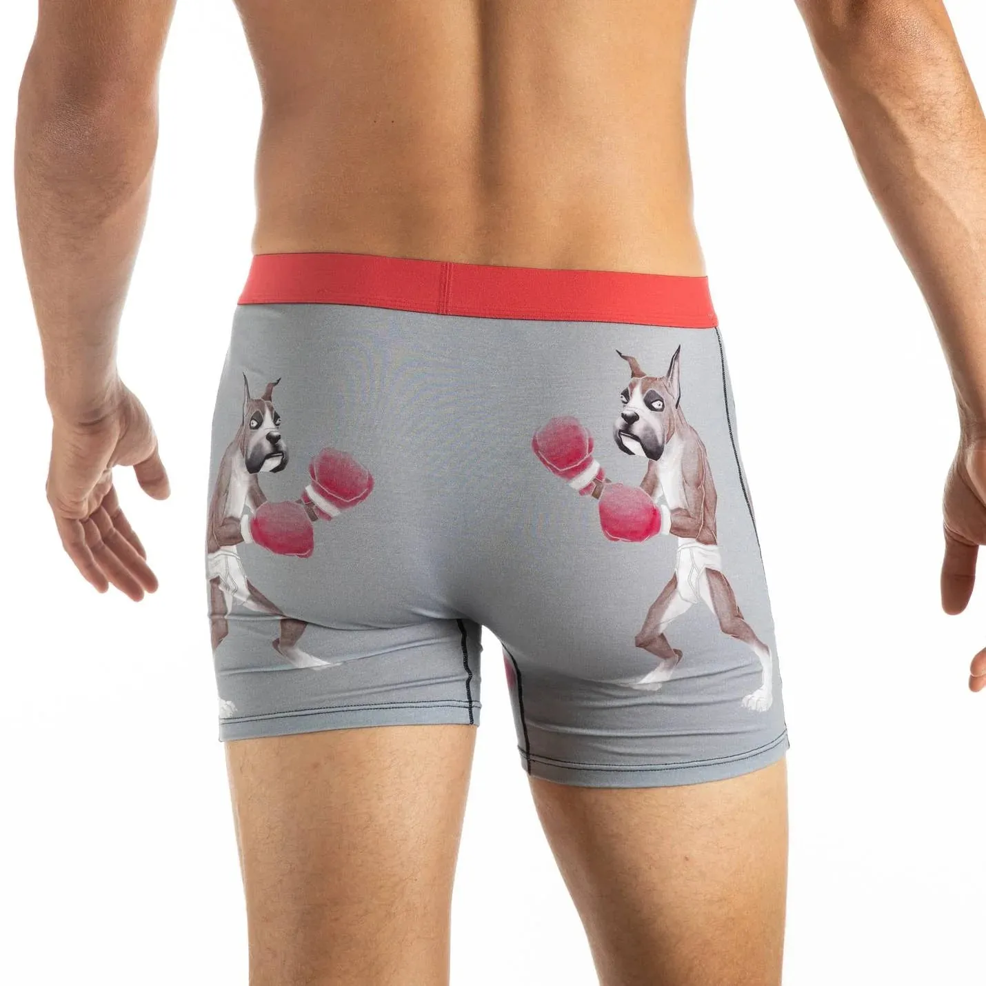 Boxing Boxer Briefs