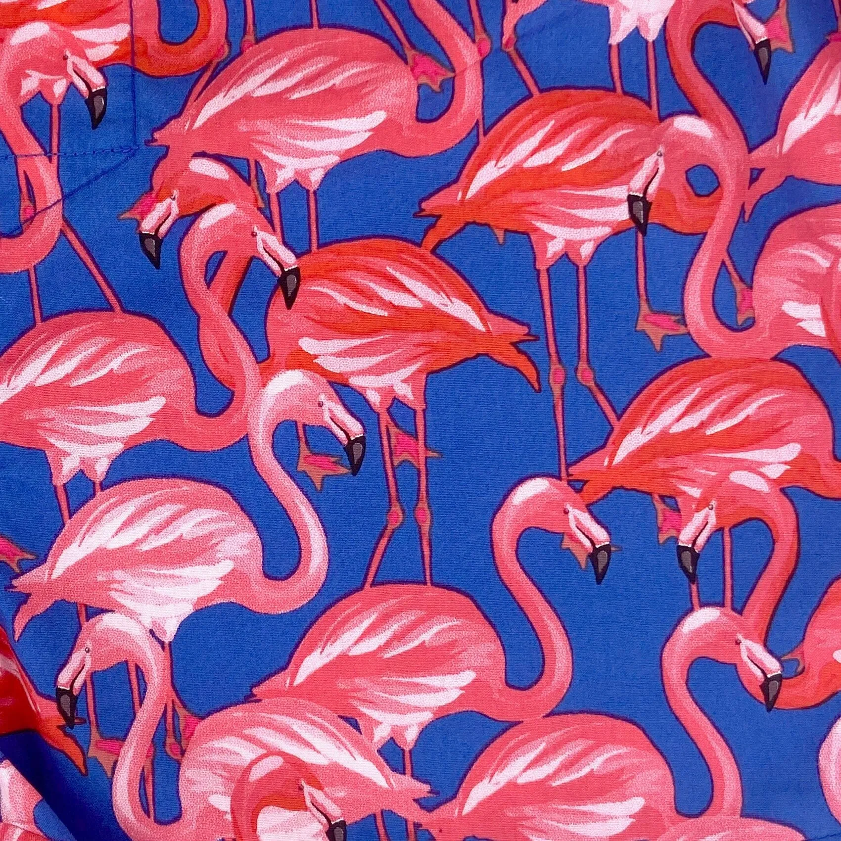 FLUSH FLAMINGO BOXERS