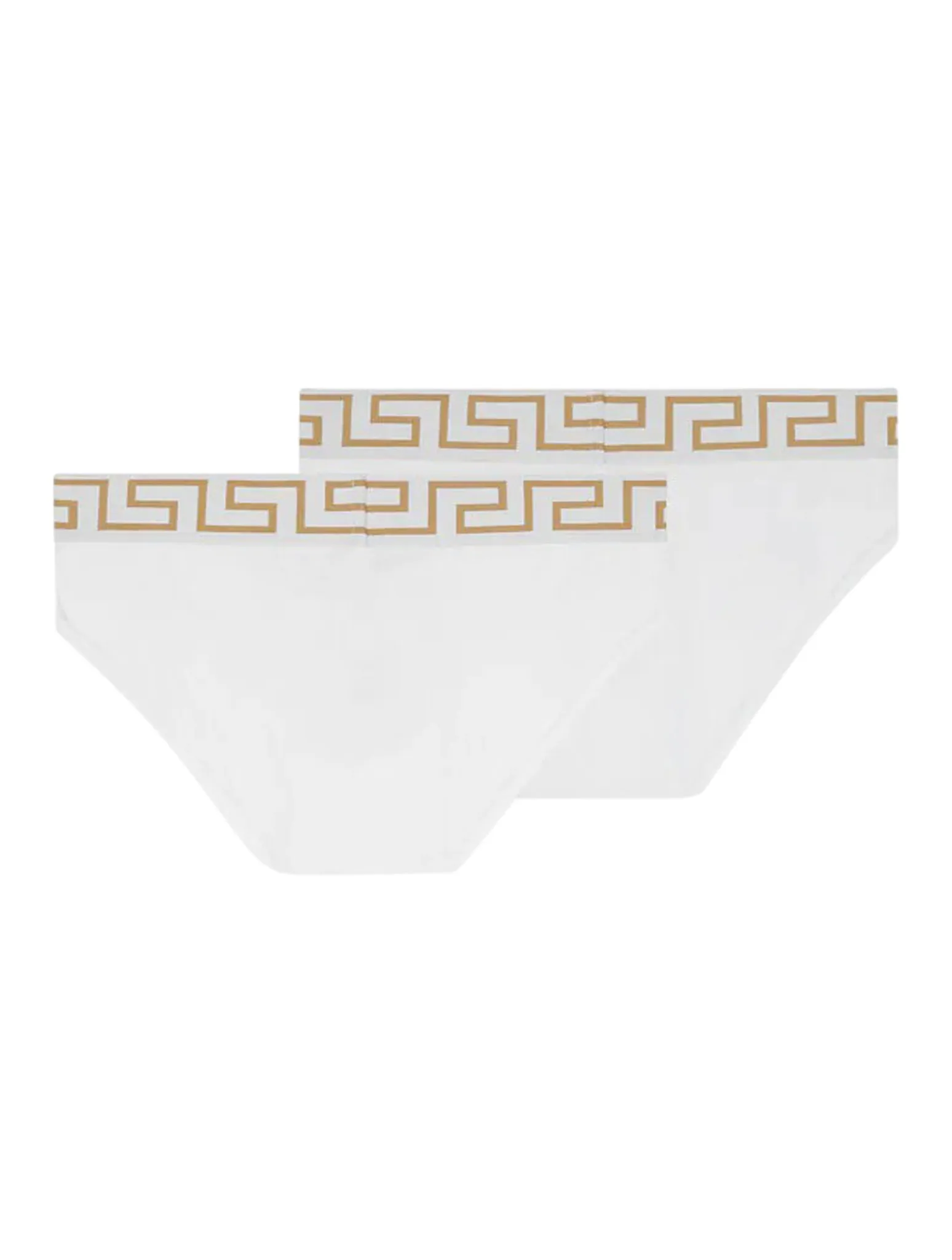 Medusa logo briefs